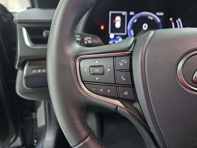 Lexus UX 300h Plus 146 kW (199 CV) Vehículo usado en Madrid - 16