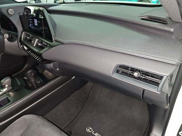 Lexus UX 300h Plus 146 kW (199 CV) Vehículo usado en Madrid - 11