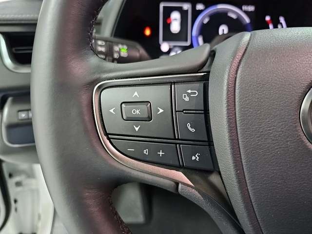 Lexus UX 300h Plus 146 kW (199 CV) Vehículo usado en Madrid - 14