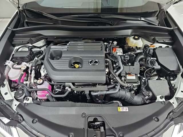 Lexus UX 300h Plus 146 kW (199 CV) Vehículo usado en Madrid - 38