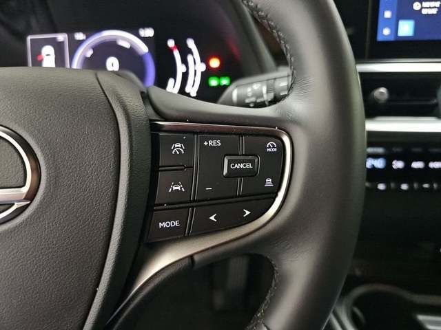 Lexus UX 300h Plus 146 kW (199 CV) Vehículo usado en Madrid - 13