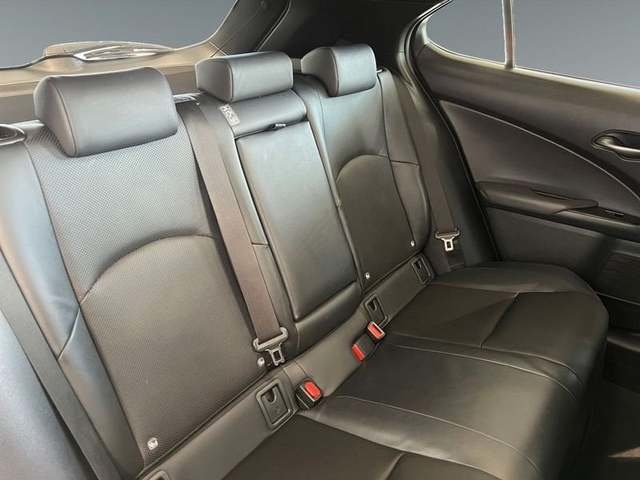 Lexus UX 250h F Sport 135 kW (184 CV) Vehículo usado en Madrid - 9