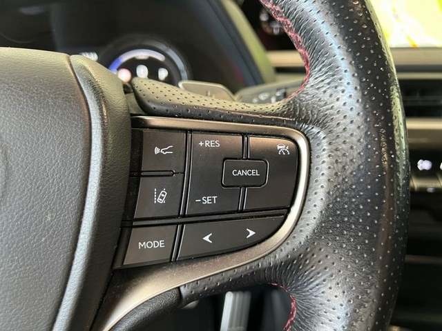 Lexus UX 250h F Sport 135 kW (184 CV) Vehículo usado en Madrid - 13