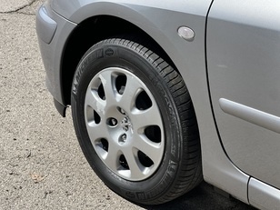 Peugeot 307 SW 1.6 Port Aventura 80 kW (110 CV) Peugeot 307 SW 1.6 Port Aventura 80 kW (110 CV)