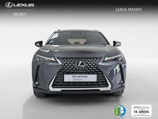 Lexus UX 300h Plus 146 kW (199 CV) Vehículo usado en Madrid - 5