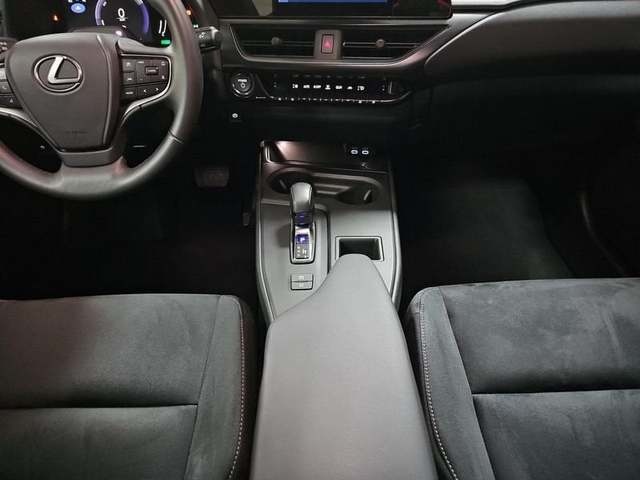 Lexus UX 300h Plus 146 kW (199 CV) Vehículo usado en Madrid - 28