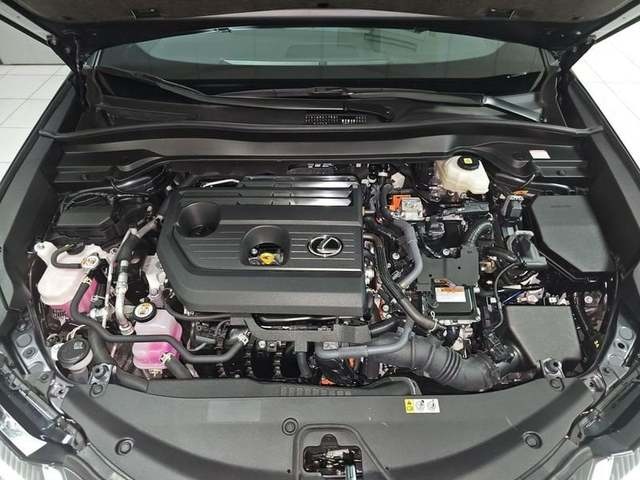 Lexus UX 300h Plus 146 kW (199 CV) Vehículo usado en Madrid - 40