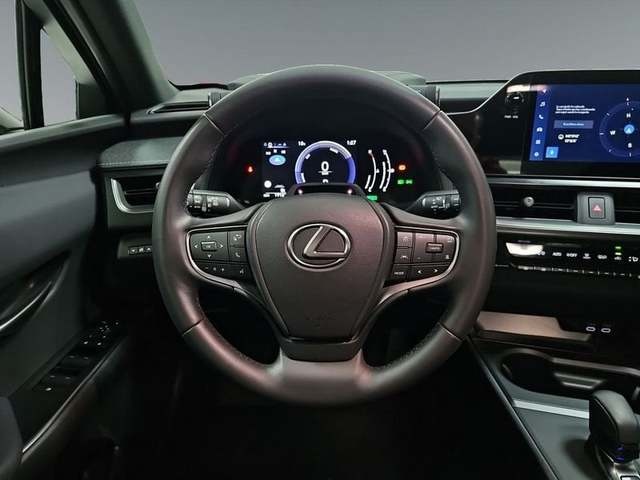 Lexus UX 300h Plus 146 kW (199 CV) Vehículo usado en Madrid - 12