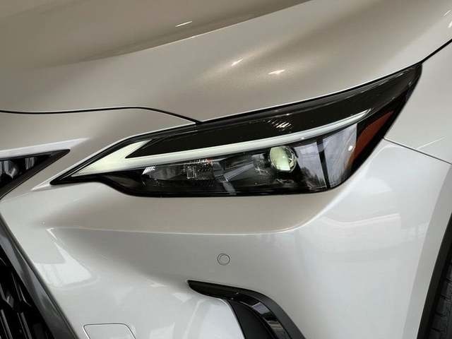 Lexus NX 450h+ Premium+ 4WD 225 kW (306 CV) Vehículo usado en Madrid - 39