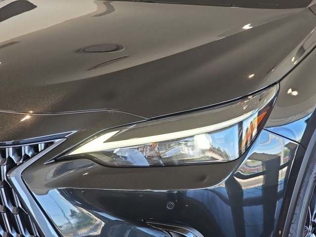 Lexus NX 350h Business City 2WD 178 kW (242 CV) Vehículo usado en Madrid - 27