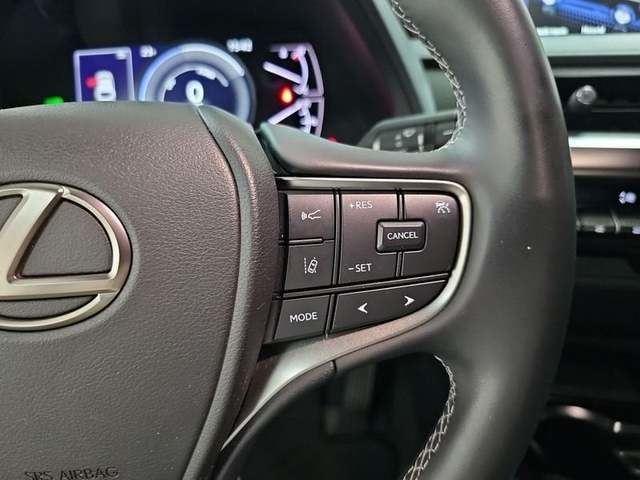 Lexus UX 250h Business 2WD 135 kW (184 CV) Vehículo usado en Madrid - 16