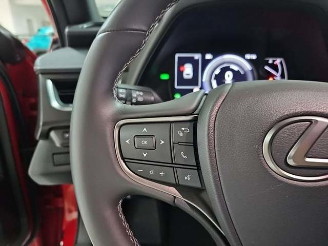 Lexus UX 250h Business 2WD 135 kW (184 CV) Vehículo usado en Madrid - 15