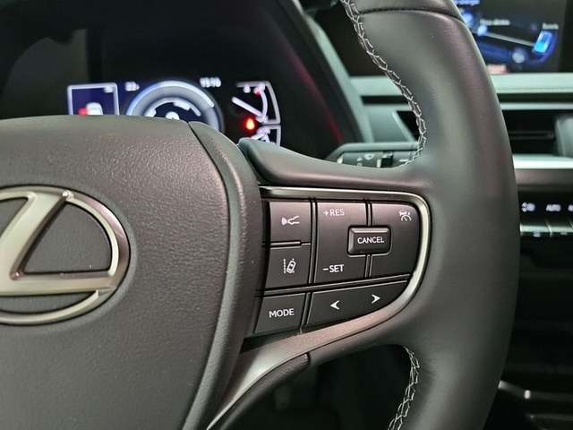 Lexus UX 250h Business 2WD 135 kW (184 CV) Vehículo usado en Madrid - 16