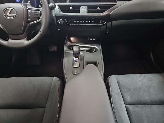 Lexus UX 300h Plus 146 kW (199 CV) Vehículo usado en Madrid - 10