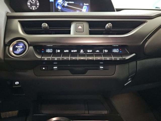 Lexus UX 250h Business 2WD 135 kW (184 CV) Vehículo usado en Madrid - 31