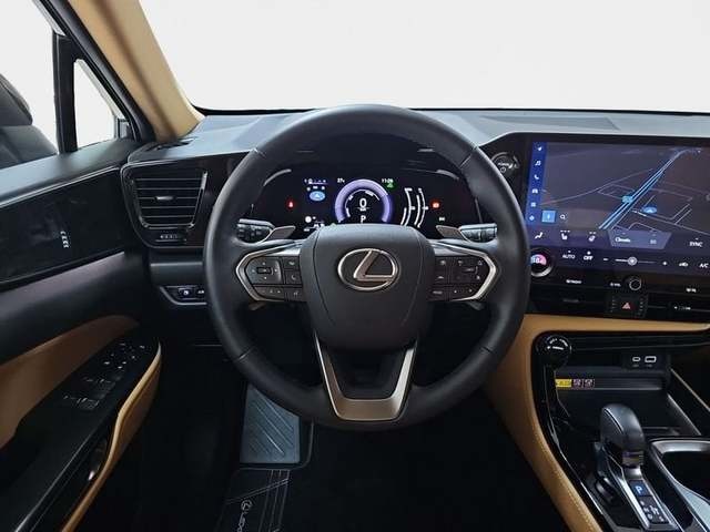 Lexus NX 450h+ Premium+ 4WD 225 kW (306 CV) Vehículo usado en Madrid - 11