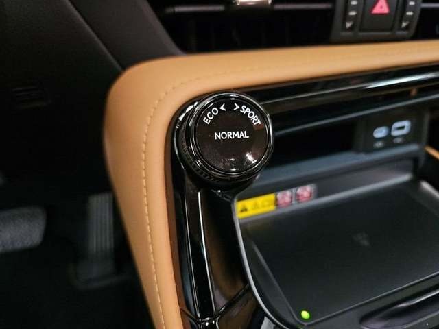 Lexus NX 450h+ Premium+ 4WD 225 kW (306 CV) Vehículo usado en Madrid - 30