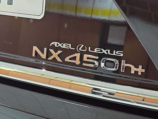 Lexus NX 450h+ Premium+ 4WD 225 kW (306 CV) Vehículo usado en Madrid - 31