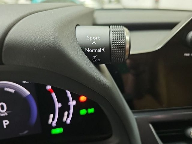 Lexus UX 300h Plus 146 kW (199 CV) Vehículo usado en Madrid - 18