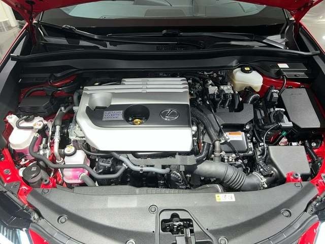 Lexus UX 250h Premium 135 kW (184 CV) Vehículo usado en Madrid - 24