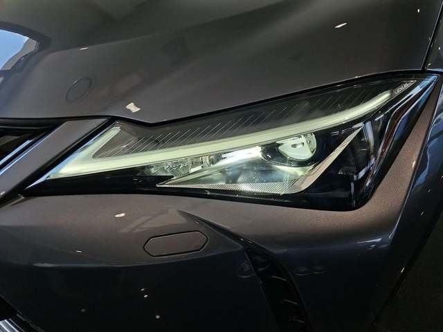 Lexus UX 250h Business 2WD 135 kW (184 CV) Vehículo usado en Madrid - 30