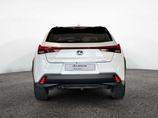 Lexus UX 250h Premium 135 kW (184 CV) Vehículo usado en Madrid - 4
