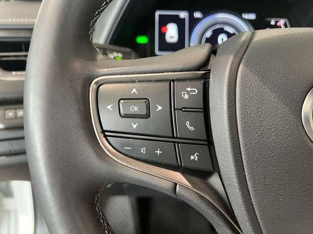 Lexus UX 250h Premium 135 kW (184 CV) Vehículo usado en Madrid - 14 Lexus UX 250h Premium 135 kW (184 CV) Vehículo usado en Madrid - 14