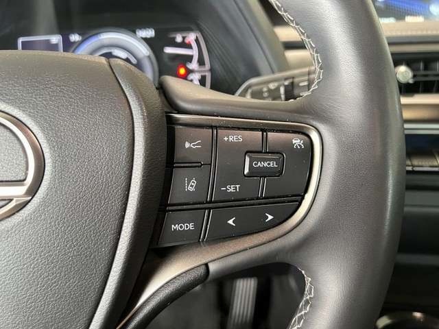 Lexus UX 250h Premium 135 kW (184 CV) Vehículo usado en Madrid - 15