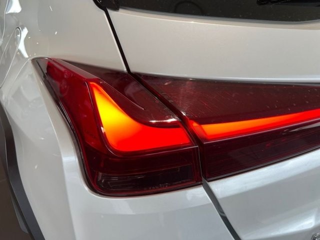 Lexus UX 250h Premium 135 kW (184 CV) Vehículo usado en Madrid - 22