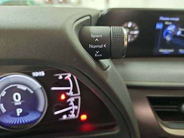 Lexus UX 250h Business 2WD 135 kW (184 CV) Vehículo usado en Madrid - 20 Lexus UX 250h Business 2WD 135 kW (184 CV) Vehículo usado en Madrid - 20