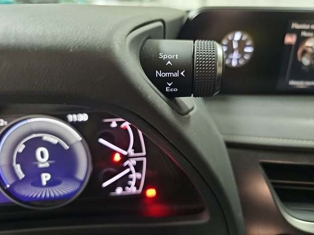 Lexus UX 250h Business 2WD 135 kW (184 CV) Vehículo usado en Madrid - 20