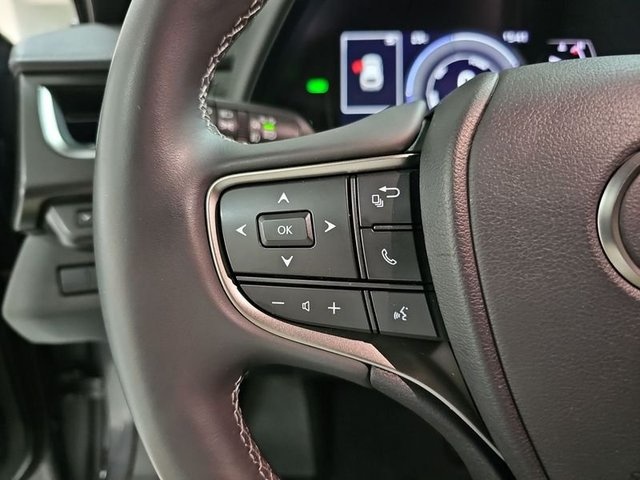 Lexus UX 250h Business 2WD 135 kW (184 CV) Vehículo usado en Madrid - 13