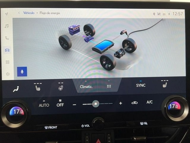 Lexus NX 450h+ Premium+ 4WD 225 kW (306 CV) Vehículo usado en Madrid - 16