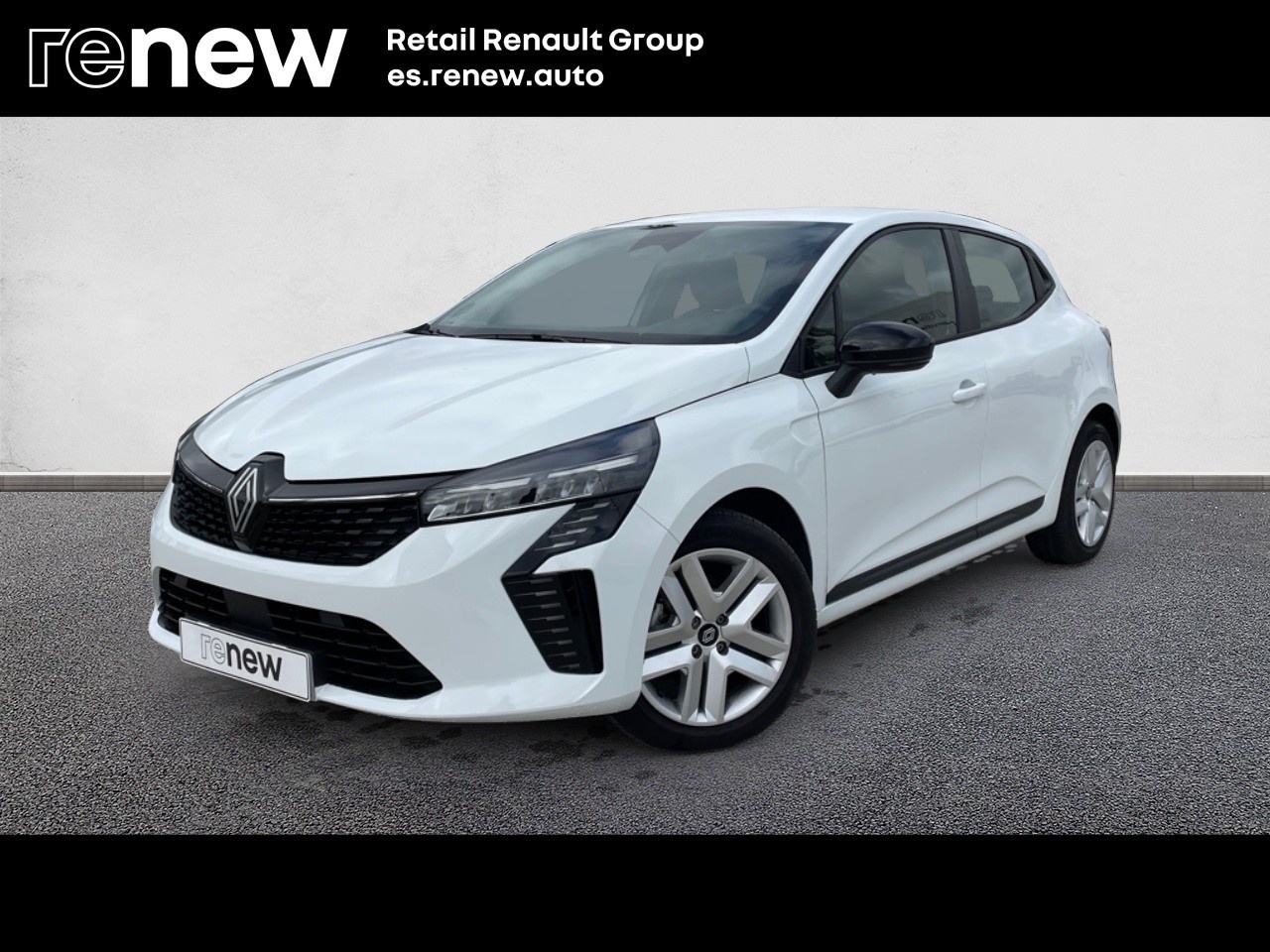 Renault Clio Evolution dCi 74 kW (100 CV) - 1