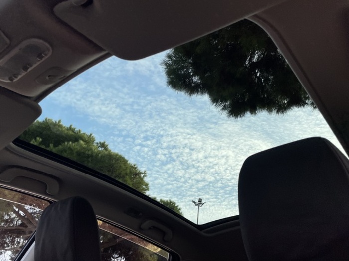 NissanQashqai+2 1.6 dCi S&S Tekna Sport 4x2 18 NissanQashqai+2 1.6 dCi S&S Tekna Sport 4x2 18