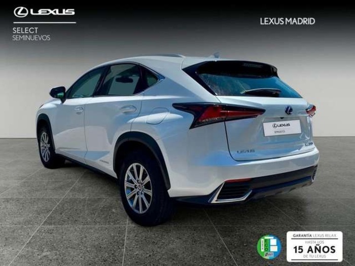 Lexus NX 300h Business Navigation 2WD 145 kW (197 CV) Vehículo usado en Madrid - 2 Lexus NX 300h Business Navigation 2WD 145 kW (197 CV) Vehículo usado en Madrid - 2