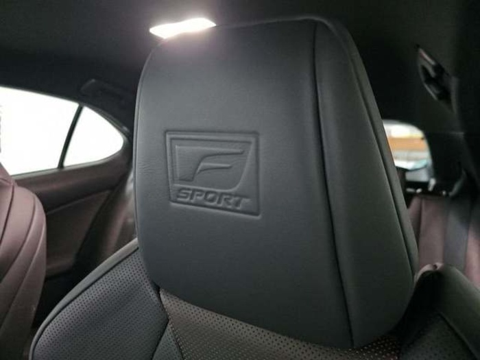 Lexus UX 300h F Sport Plus 146 kW (199 CV) Vehículo usado en Madrid - 10 Lexus UX 300h F Sport Plus 146 kW (199 CV) Vehículo usado en Madrid - 10