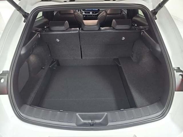 Lexus UX 300h F Sport Plus 146 kW (199 CV) Vehículo usado en Madrid - 37