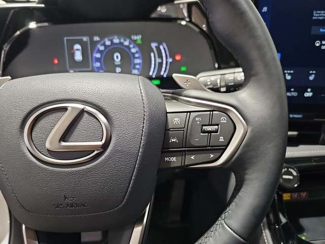 Lexus NX 450h+ Premium+ 4WD 225 kW (306 CV) Vehículo usado en Madrid - 13