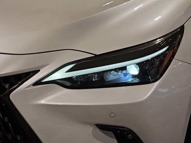 Lexus NX 450h+ Premium+ 4WD 225 kW (306 CV) Vehículo usado en Madrid - 35