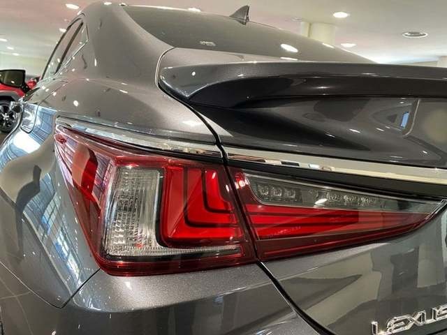 Lexus ES 300h Luxury 160 kW (218 CV) Vehículo usado en Madrid - 19