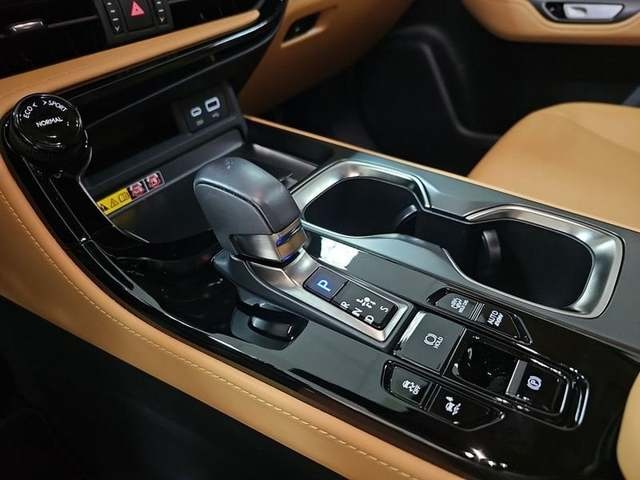 Lexus NX 450h+ Premium+ 4WD 225 kW (306 CV) Vehículo usado en Madrid - 25