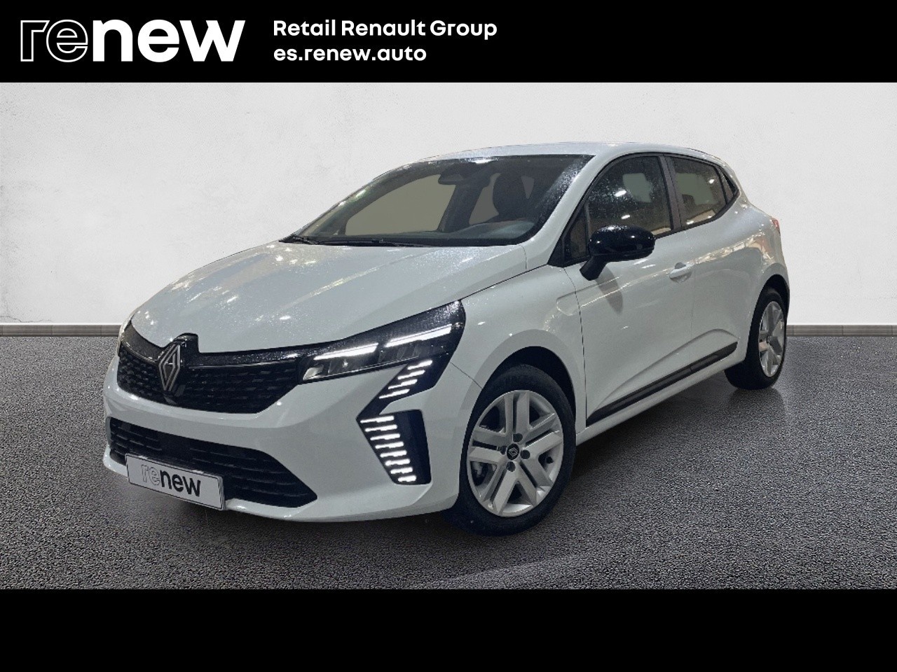 Renault Clio Evolution dCi 74 kW (100 CV) - 1