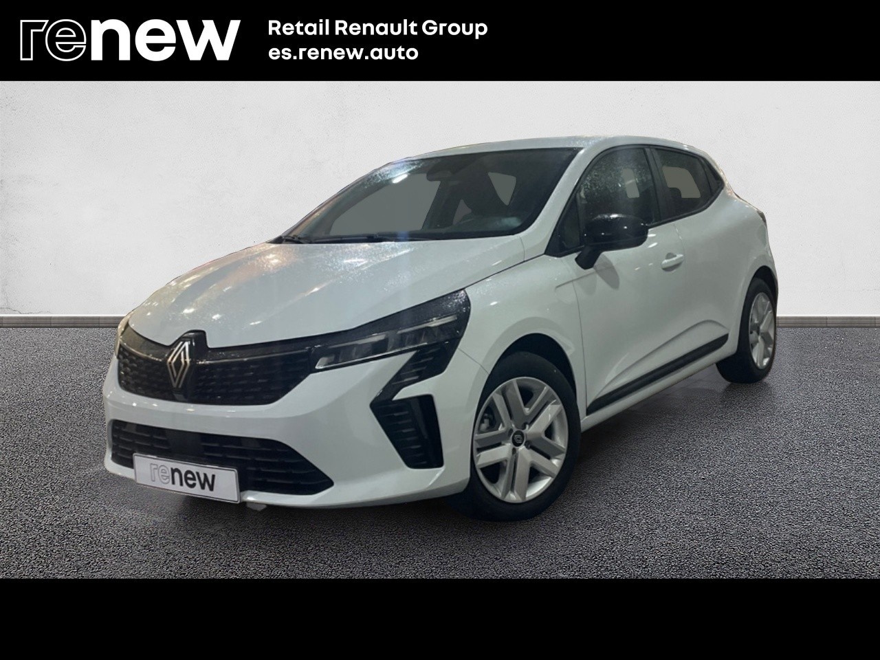 Renault Clio Evolution dCi 74 kW (100 CV) - 1