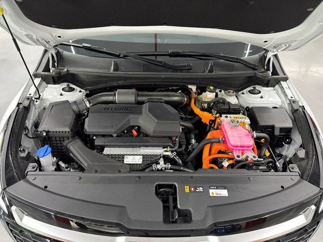 KiaSportage 1.6 T-GDi HEV Tech 4x2 176 kW (239 CV) Vehículo usado en Barcelona - 26