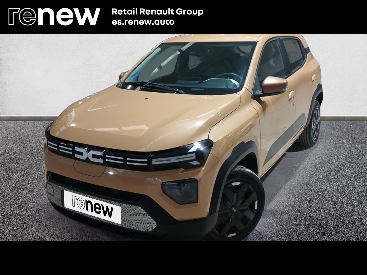 Dacia Spring Extreme Electric 48 kW (65 CV) - 1