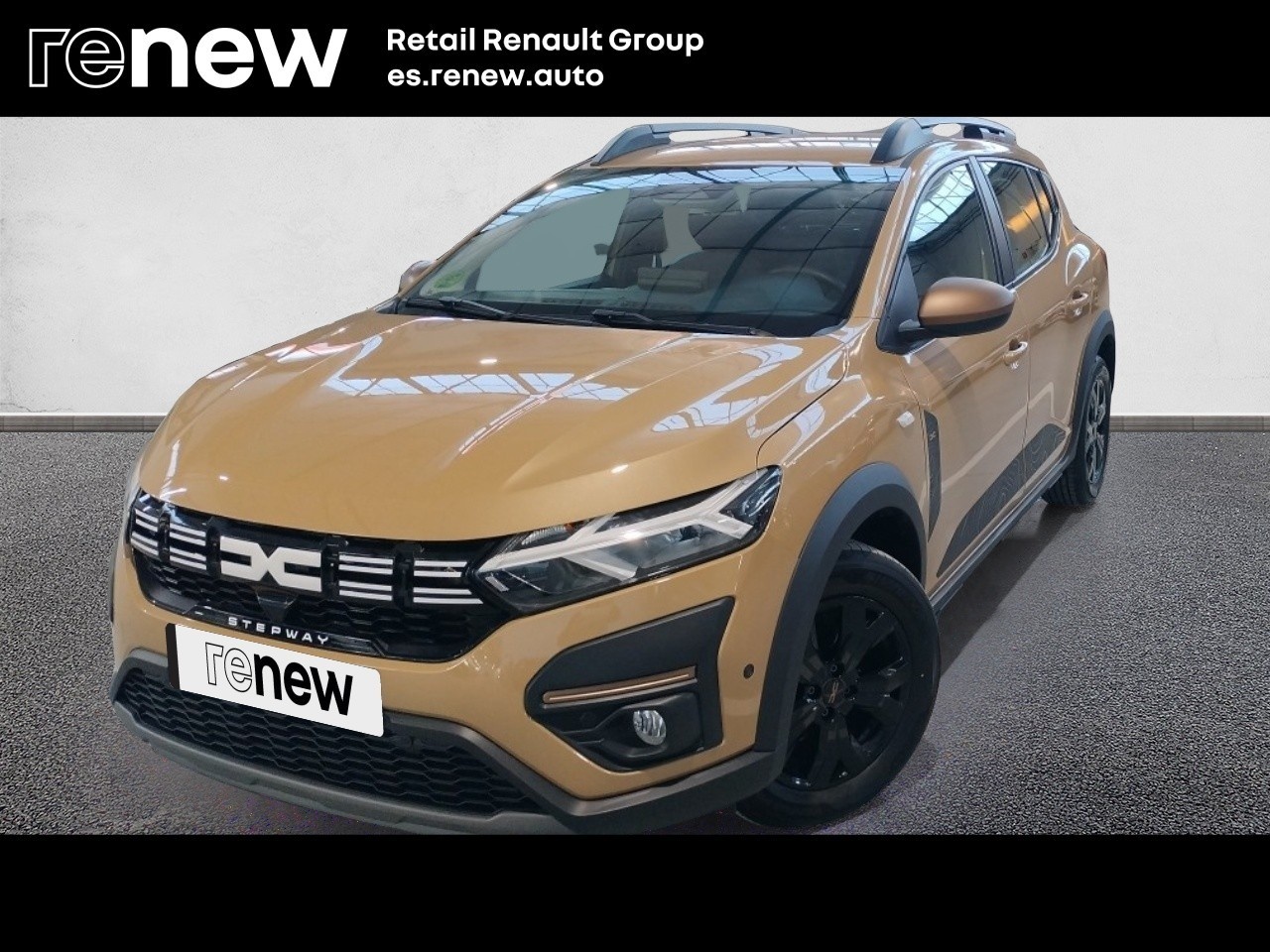 Dacia Sandero Stepway Extreme Go TCe 81 kW (110 CV) - 1