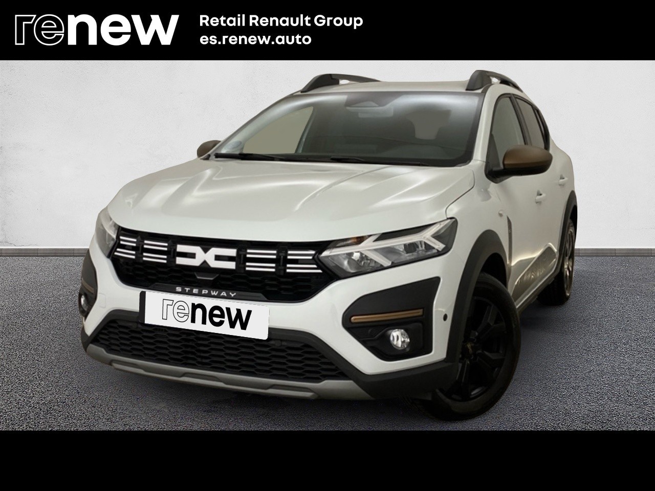 Dacia Sandero Stepway Extreme Go ECO-G 74 kW (101 CV) - 1