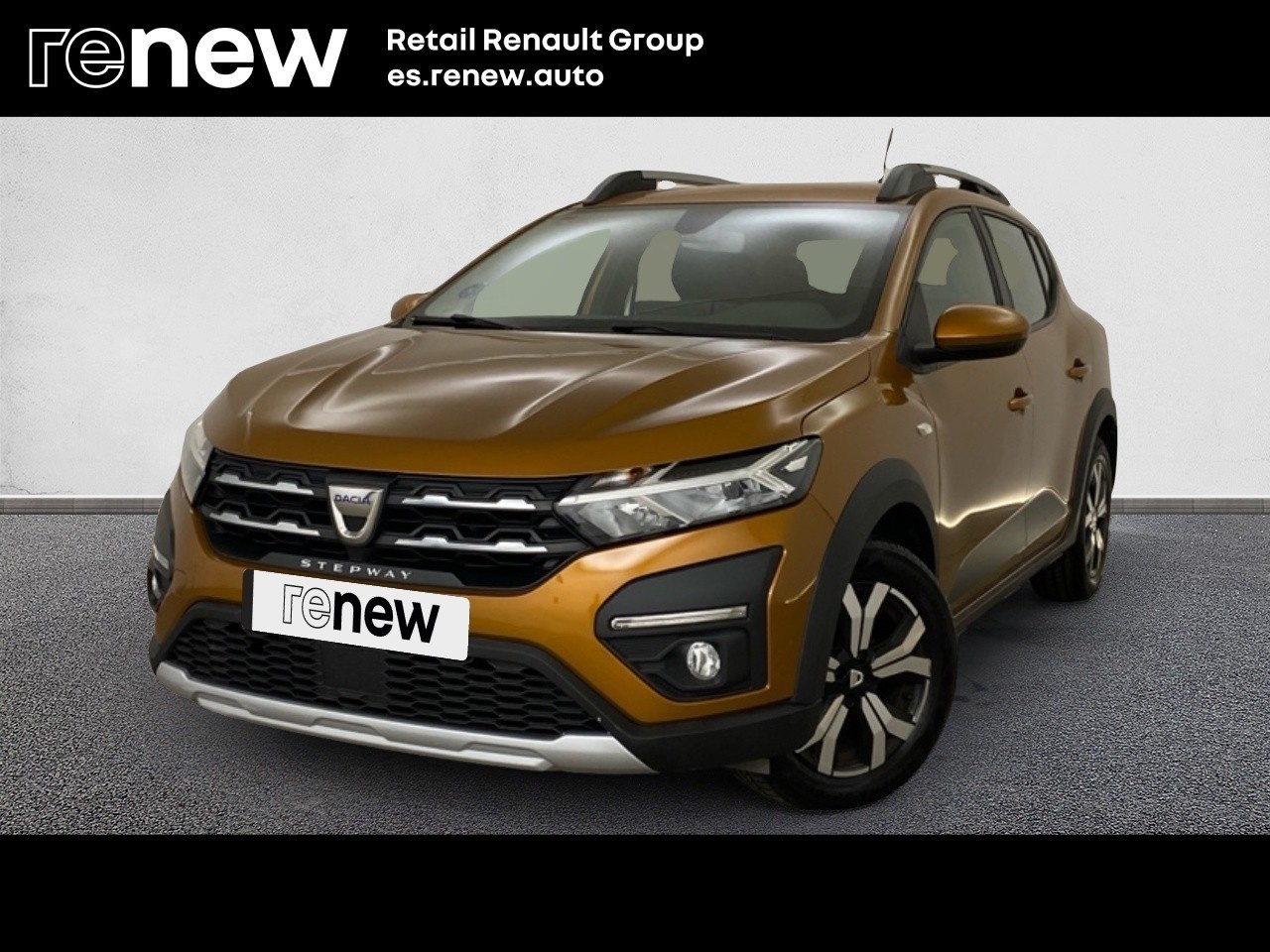 Dacia Sandero Stepway Comfort ECO-G 74 kW (100 CV) - 1