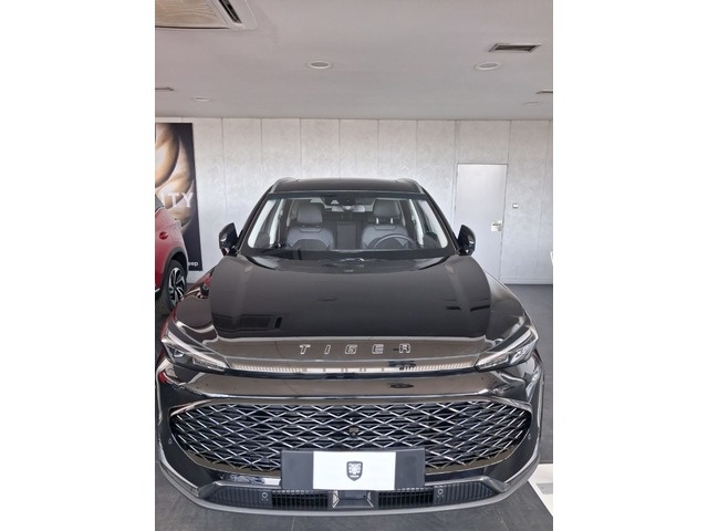 TigerEight 1.5T T-GDI GLP 7DCT 123 kW (167 CV)10